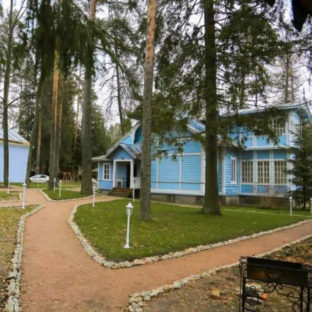 Real photos of Vyritsa Village