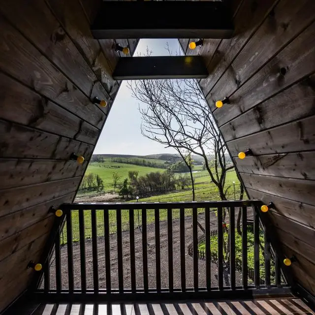 Real photos of Deer Farm 