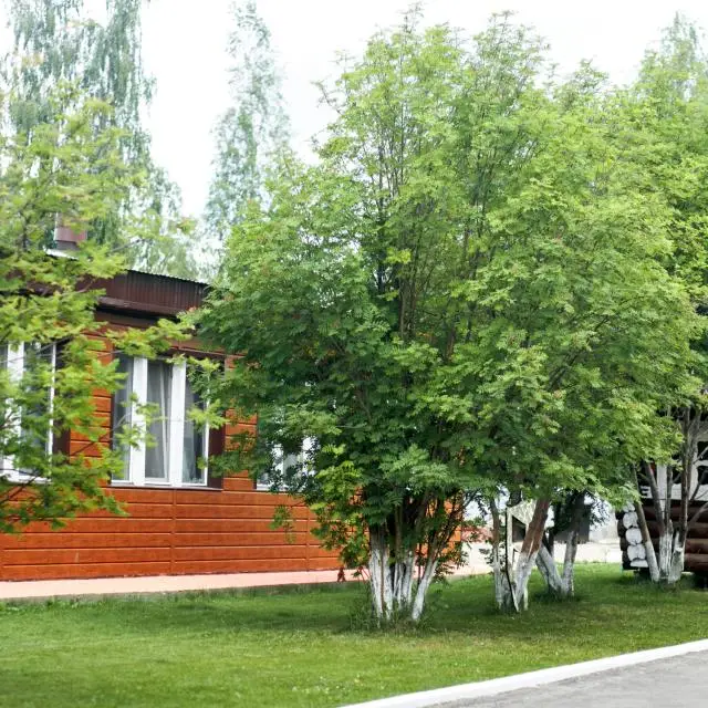 Реальные фото Польский городок