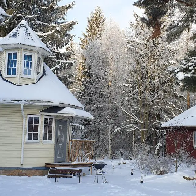 Real photos of Tarkhovka guesthouses