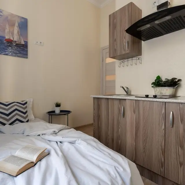 Real photos of Cozy studio apartment BombFlat on Decabristov