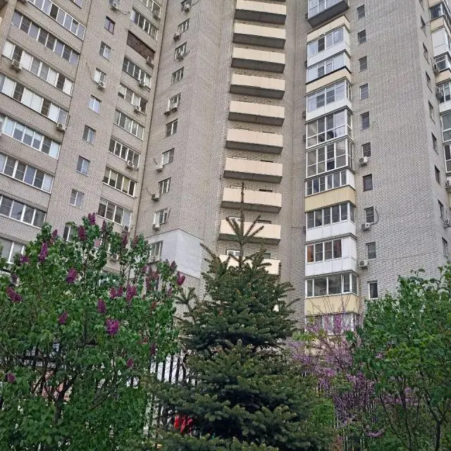 Реальные фото Черное на белом