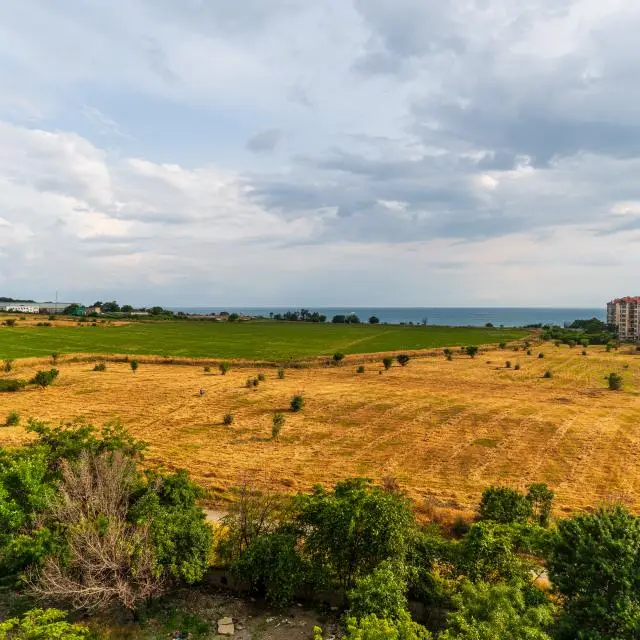 Real photos of LetoApart on Leselidze street 10