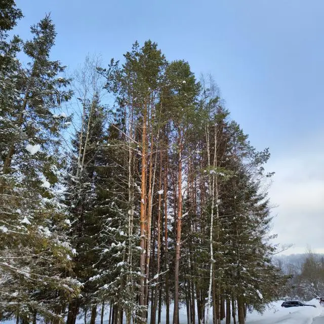 Real photos of Kanada