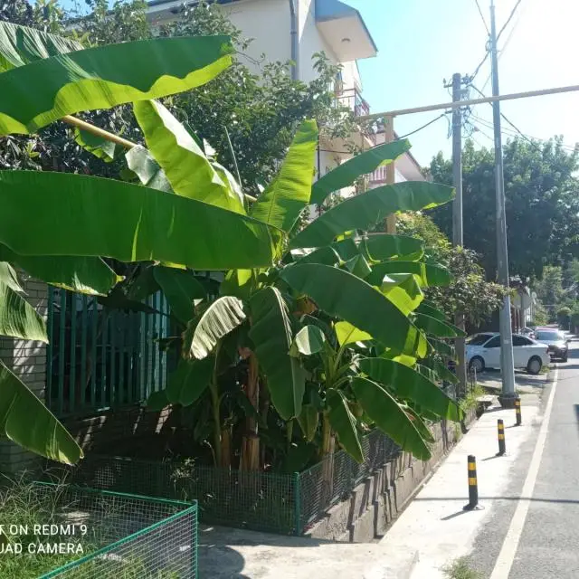 Real photos of The Shady Shore