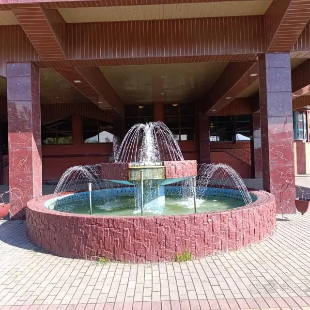 Реальные фото Арго