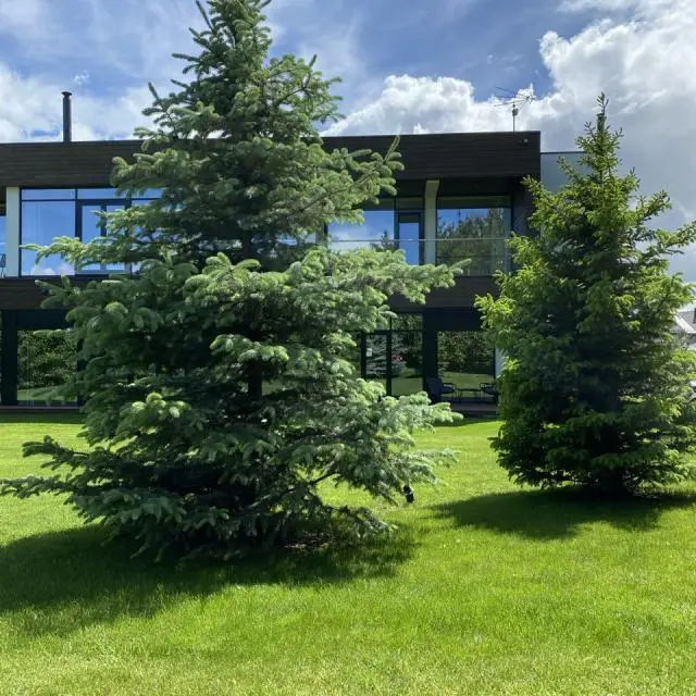 Real photos of Eco Forrest Club SPA (Eco Forrest Club SPA)