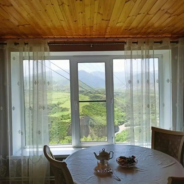 Реальные фото Пение птиц