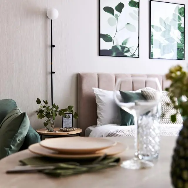 Real photos of Olive tree