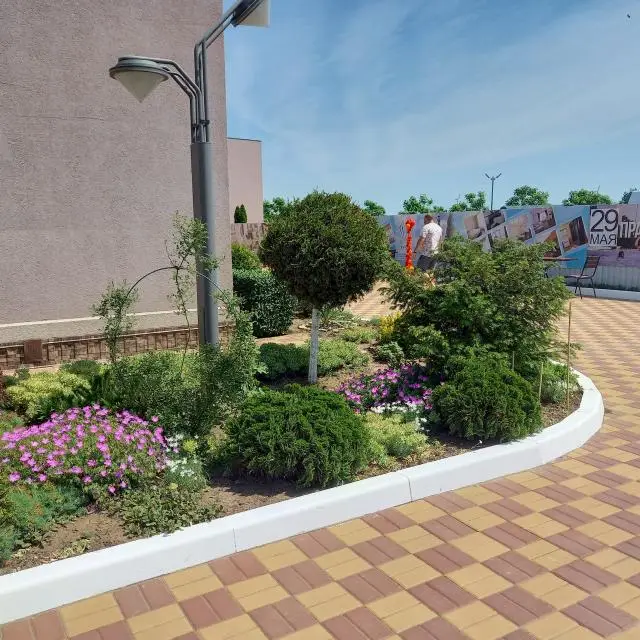 Real photos of Open spaces