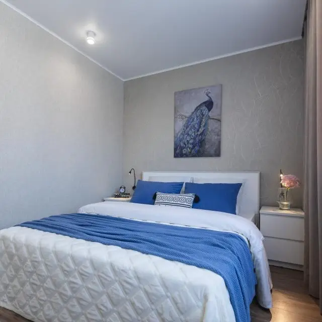 Real photos of Five Stars on Alekseeva Street 25