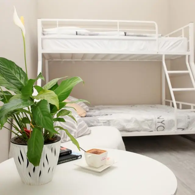 Real photos of 1-room apartment, 36 m2, 3 beds