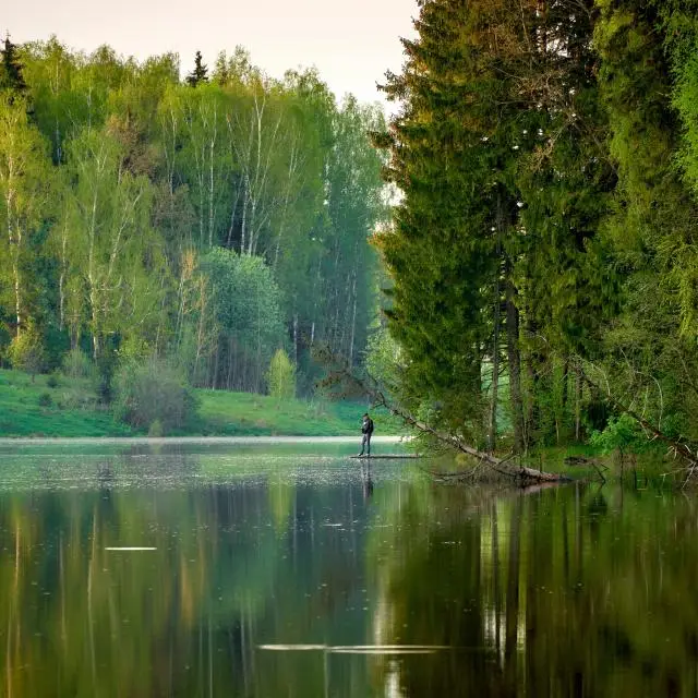 Real photos of Ivolga