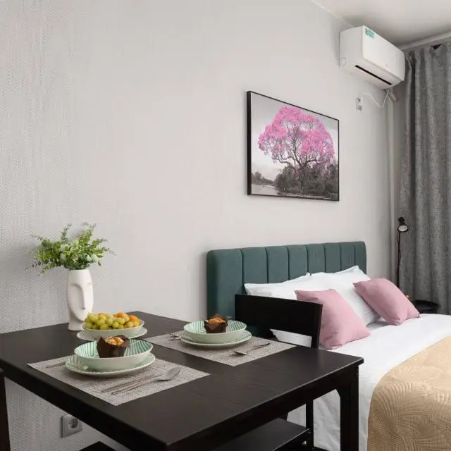 Real photos of Apartments on Borodinskaya street