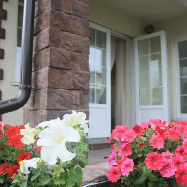 Real photos of Guest house Sunny