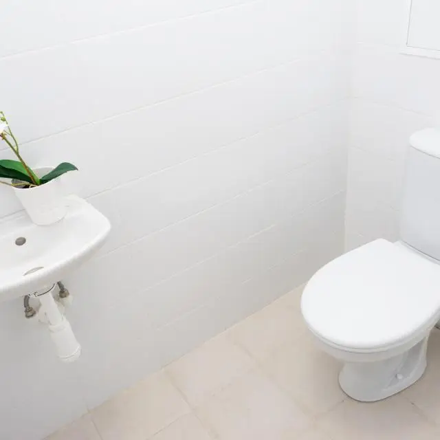 Real photos of Good House in Polymer lane 13