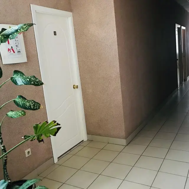 Real photos of Alpha