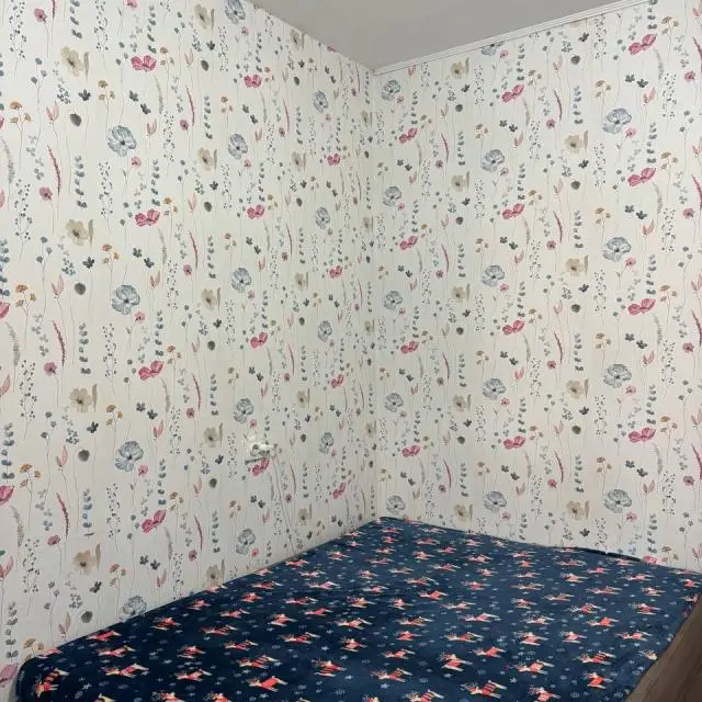 Real photos of Apartment at Valeevna's on Alexandrovskaya street