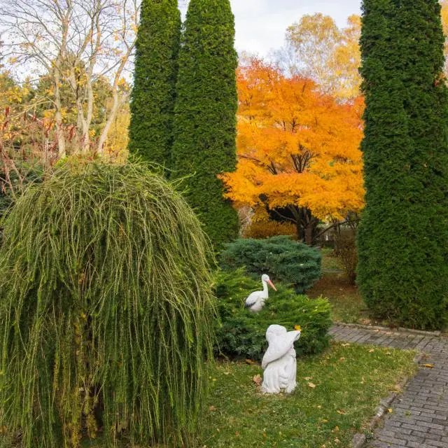 Real photos of Raushen