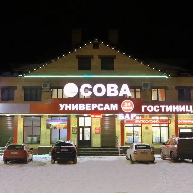 Реальные фото Сова