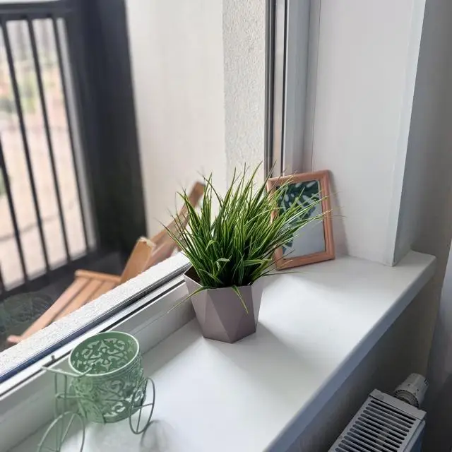 Real photos of Tina Rental Studio
