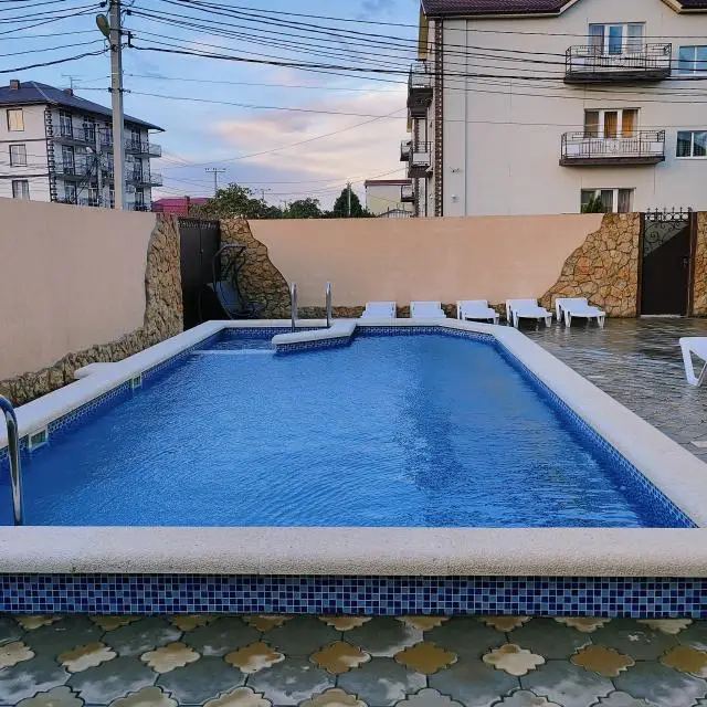 Real photos of Nautilus