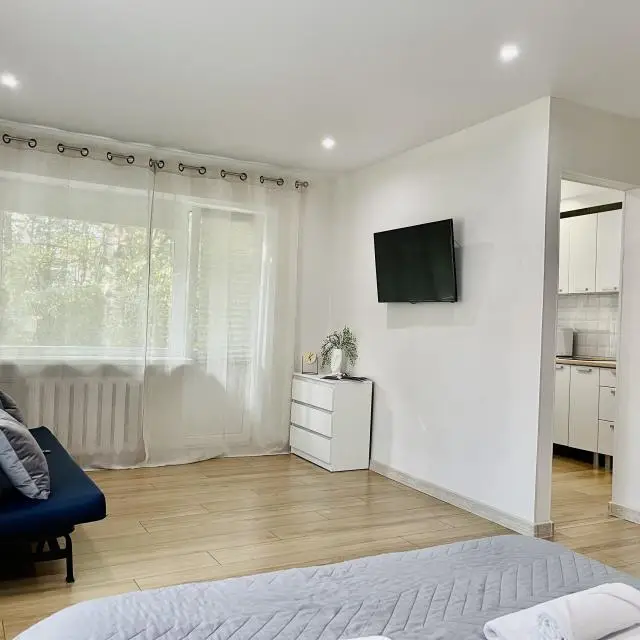 Real photos of Apartments on Pushkinskaya Street
