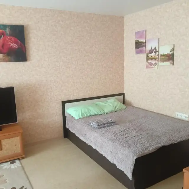 Real photos of Apartments on Kommunisticheskiy Prospekt 1