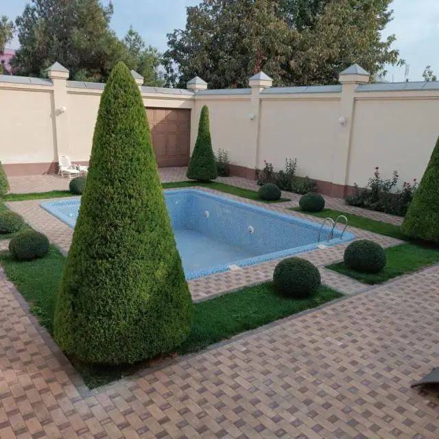 Real photos of Jahon Palace