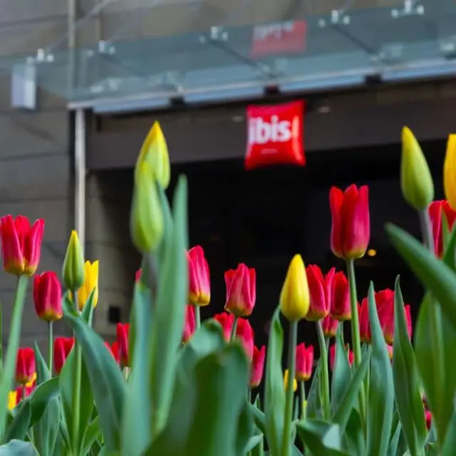 Real photos of Ibis Moscow Bakhrushin Center