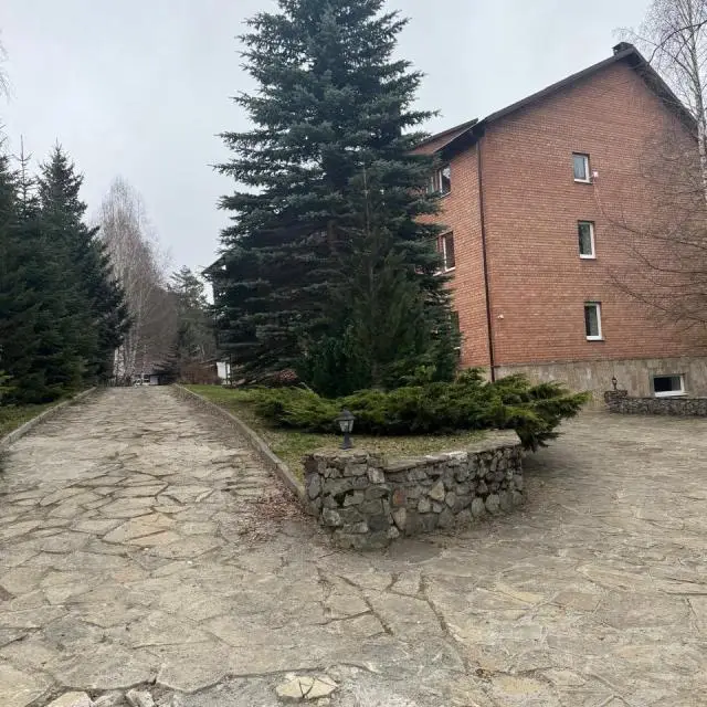 Real photos of Woodland