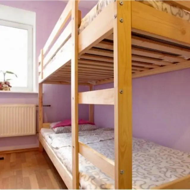 Real photos of Maestro hostel
