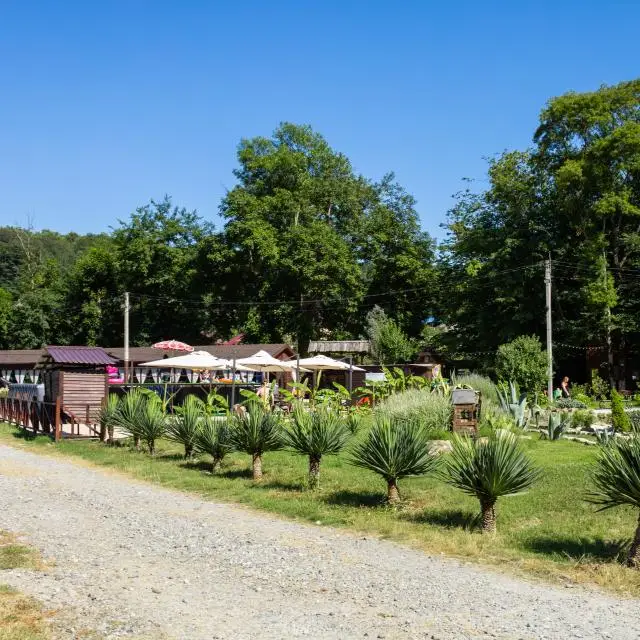 Real photos of Votchina Eco Park