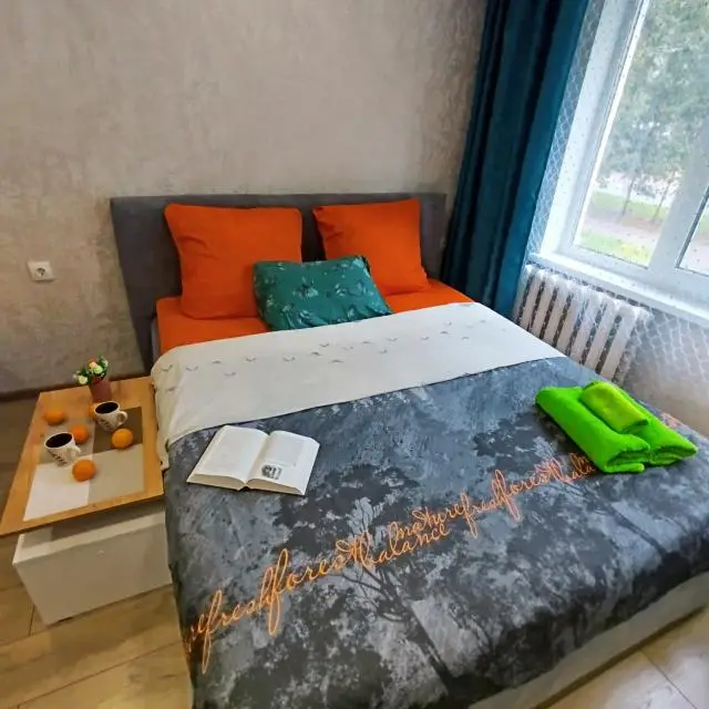 Real photos of Spacious two-bedroom apartment near the Mirozhsky Monastery