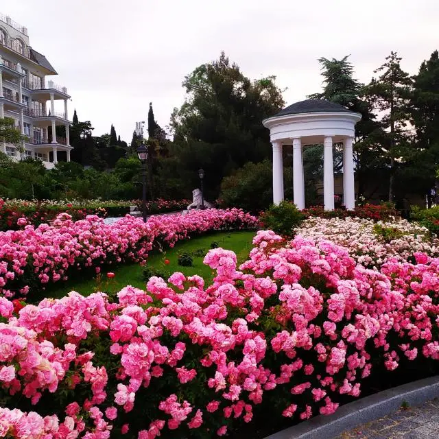 Реальные фото Palmira Palace Resort & SPA (Пальмира Палас Резорт и СПА)