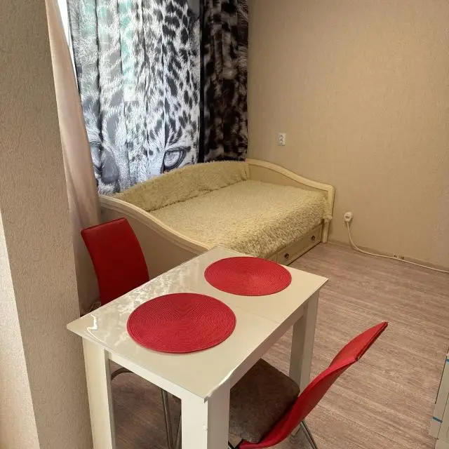 Real photos of Apartment on Dmitry Petrov street 8