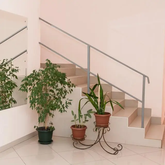 Real photos of MK Hotel