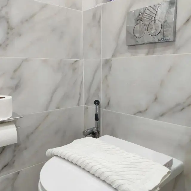 Реальные фото Romlex Apartments на Велижанская 66