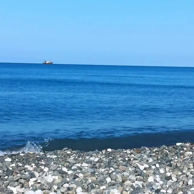 Real photos of The Black Sea Oasis