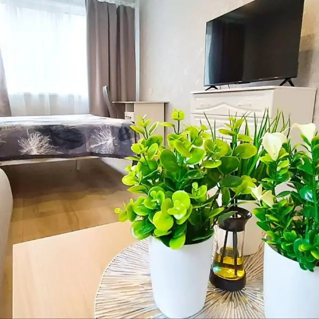 Real photos of Cozy North on Marat Street