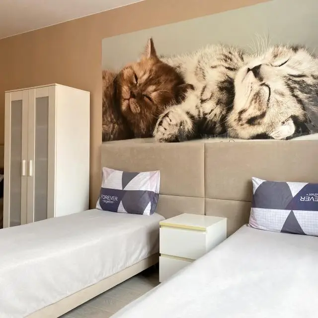Реальные фото BestHome (БестХоум) на проезде 2-й Брагинский