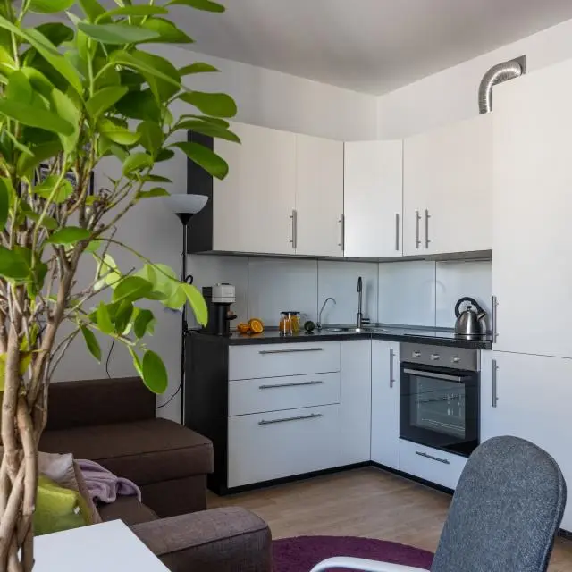 Реальные фото Eliza Home на Европейском проспекте 5