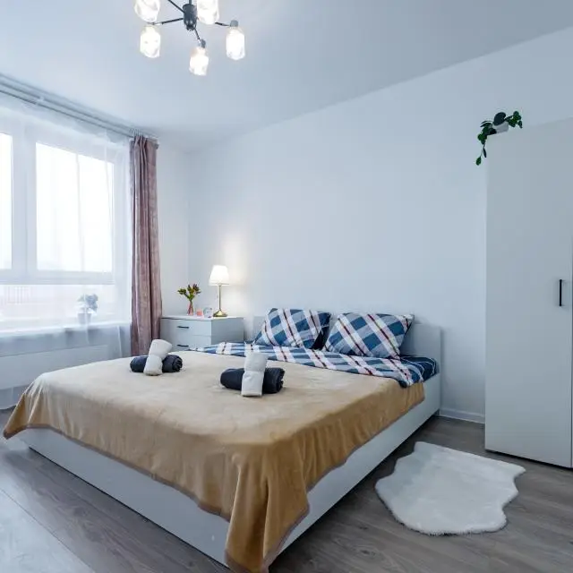 Real photos of Hermes Apartments on Sosnovaya Street