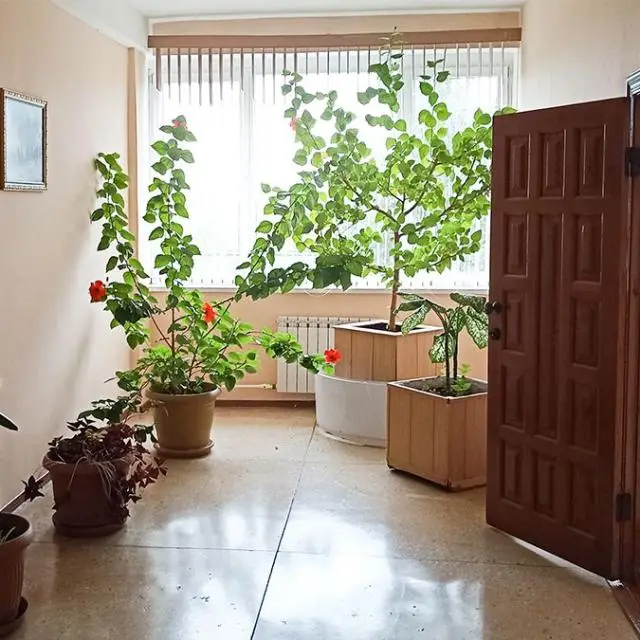 Real photos of Smart Hotel Miass