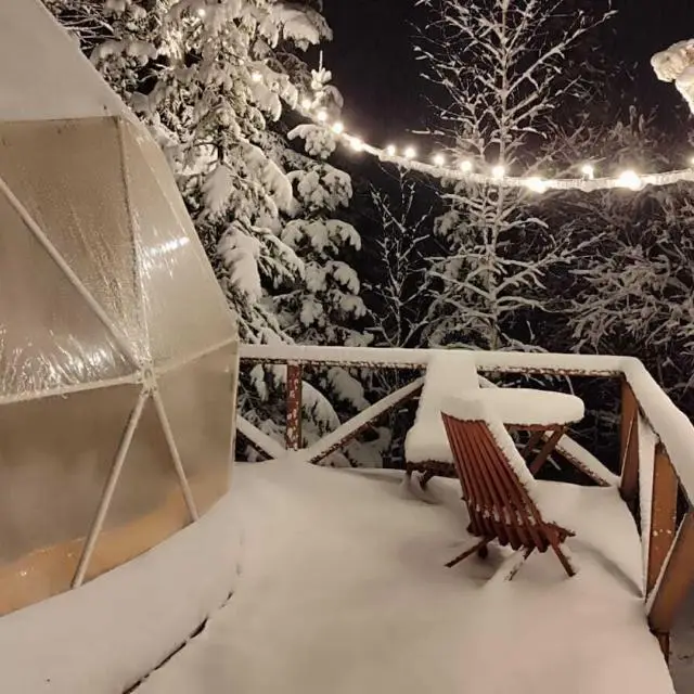 Real photos of Glamping Dome