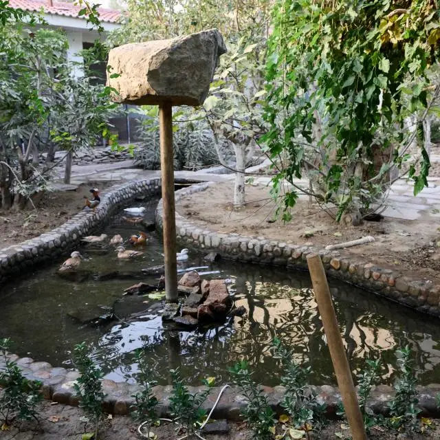 Real photos of Sodiq Namangan (Sodiq Namangan)