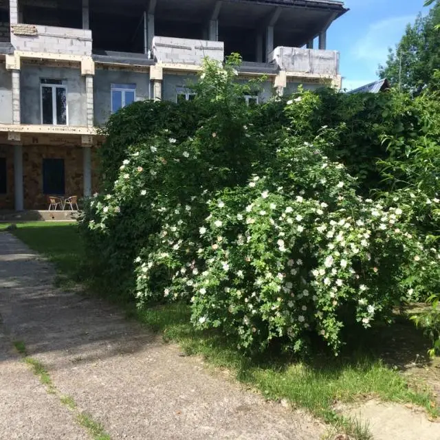 Реальные фото Ваша Гавань