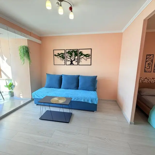 Real photos of Apartments on Irtysh embankment 21