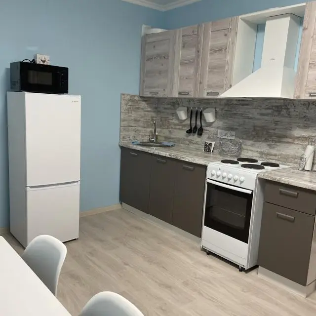 Real photos of Pronina Apartments on Savushkina Street