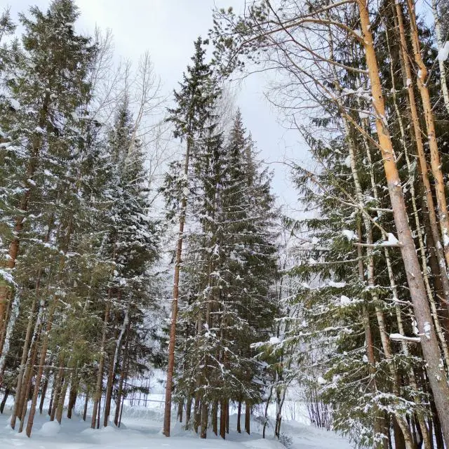 Real photos of Kanada